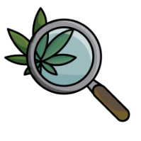 Cannabis + Product_Inspect Product