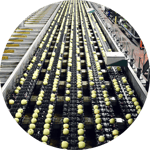 haccp testimonial