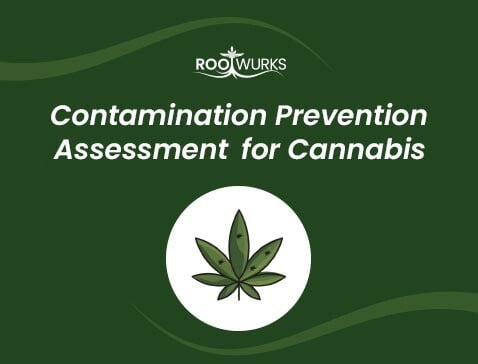 Contamination-Assessment-for-Cannabis