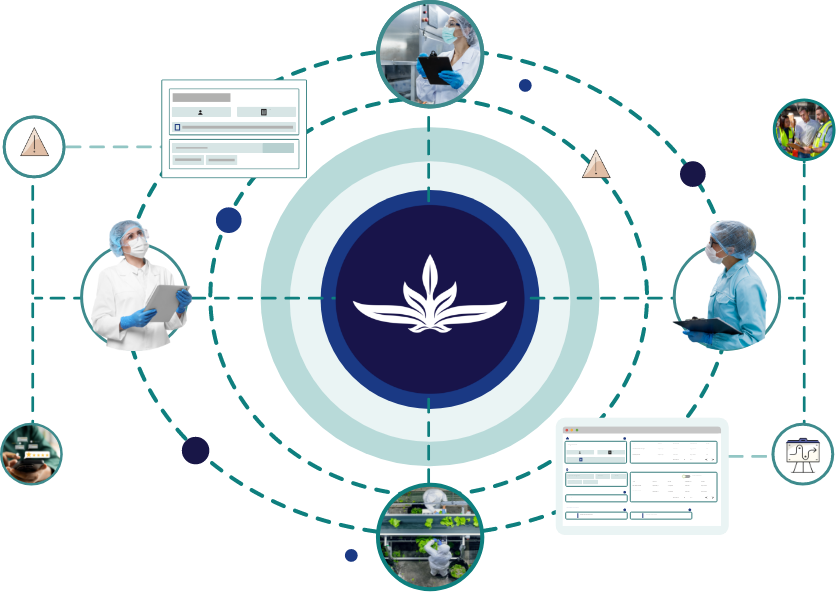 Group 9049-3