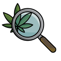 Cannabis + Product_Inspect Product