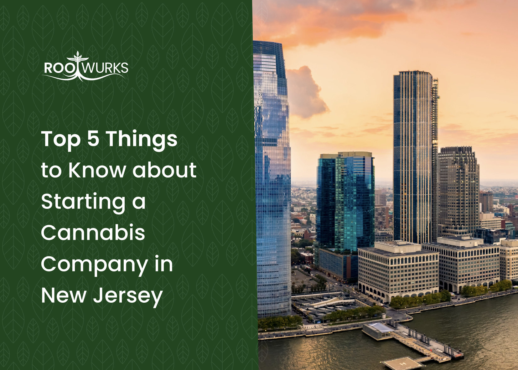 Guide: Top 5 Things to Know About Starting a Cannabis Company in New Jersey