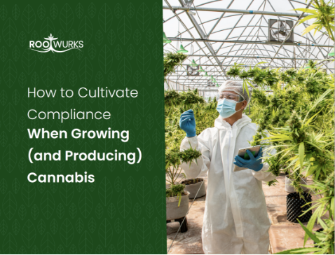 How to Cultivate Compliance When Growing (and Producing) Cannabis