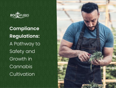 Compliance Regulations A Pathway to Safety and Growth in Cannabis