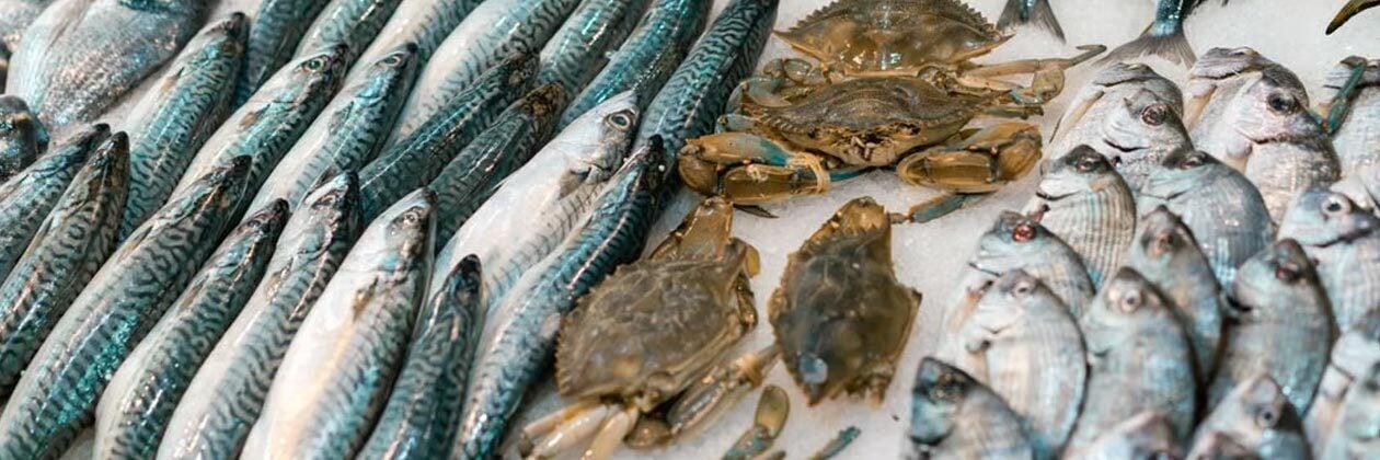Watch: The Food Safety Risks No Seafood Company Should Overlook
