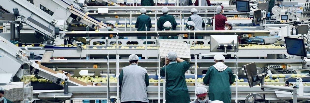 Practical, Trackable Training: A Key Investment for Audit Success and Risk Management