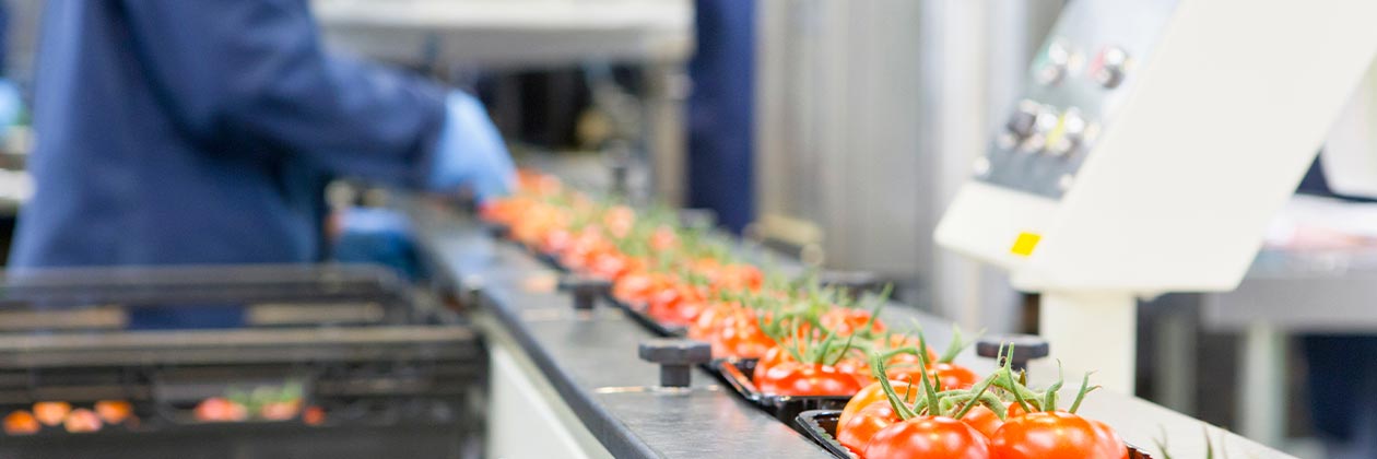 What Food Companies Need to Know About Traceability