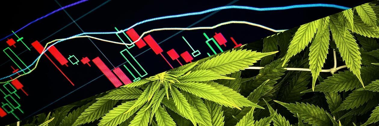 Cannabis Stocks Soar as Trump Shares Pro-Medical Cannabis Video